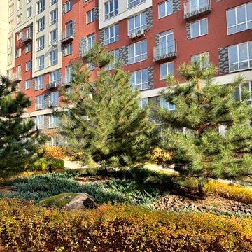 Продам двосторонню двушку з наповненням! БЕЗ КОМІСІЇ ЖК Олімп