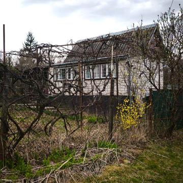 Затишна ДАЧА біля с. Оріховиця від власника:  власне вино, тиша та ідеальний відпочинок!