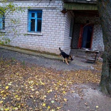 Продать дом в Парутино