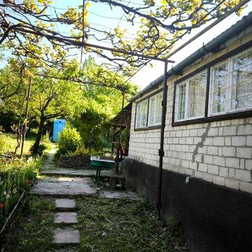 Затишна ДАЧА біля с. Оріховиця від власника:  власне вино, тиша та ідеальний відпочинок!