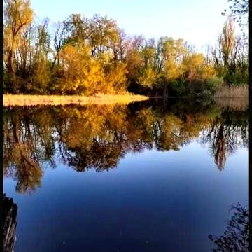 Будинок на березі