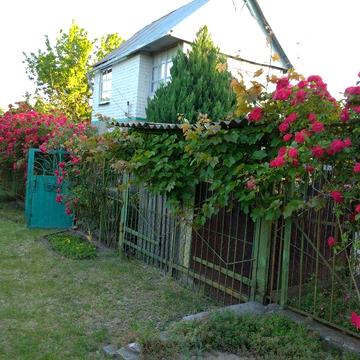 Продам дачу в с/т ,, Буревісник , Богданівка