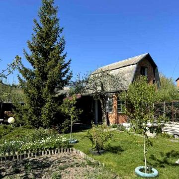 Власне озеро біля будинку — дача в Терешках