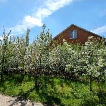 Продам двоповерховий будинок. Стара Балашівка.