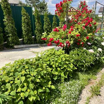 Оренда будинку с Горенка район Пуща Водиця