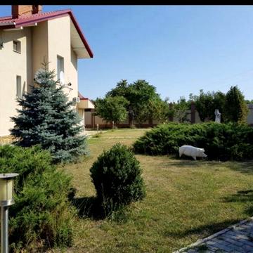 Продаю дом Царское село, Перегон. 350м2