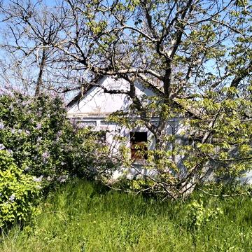 Ветхое строение,Матвеевка,ул. Матвеевская-6500$