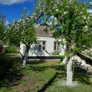 продаж будинку с. Володимирівка ( Білоцерківський р-н Київська обл. )