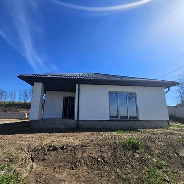 Продаж / Будинок / Великий Житин