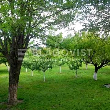 Красне перше  - дом 314 м кв  на 49 сотках