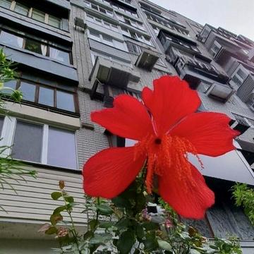 Всегда свет! Элитный дом! Центр Днепра. В жизни лучше. 80 кв м. Риелторы не звоните.