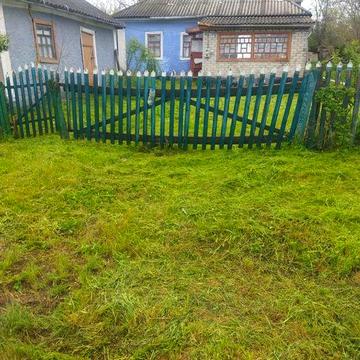 Продається будинок,місце для пасіки
