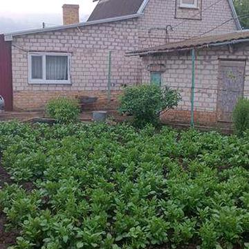 Продам дом  в Покрове.