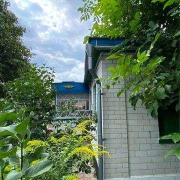Продаж будинку в с.Нечаївка