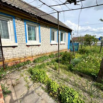 Продам житловий будинок із землею 46 соток, банею та господарством | Житомирська область