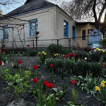 Продається будинок в с. Камяний Брід Звенигородський р-н. Черкаська обл.