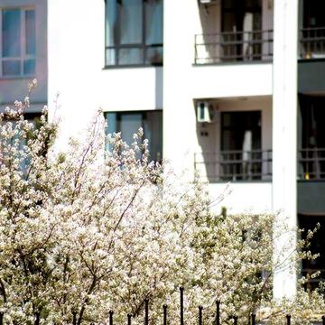 Дворівнева квартира в готовому будинку. Ірпінь, вул. О.Кобилянської ЖК Синергія Сіті