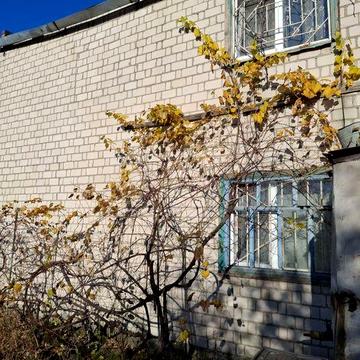 Продам или сдам в аренду дачу на берегу Кременчугского водохранилища