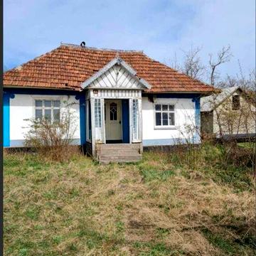 Будинок з землею с. Колінківці