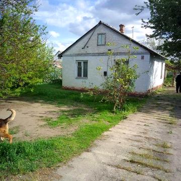 Продам дом Березановке ул.Левка Боровиковського