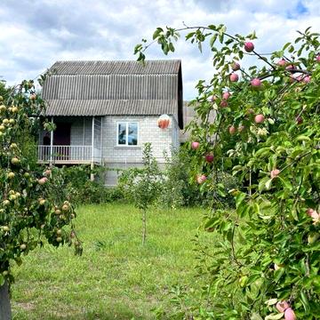 Дачний будинок з ділянкою