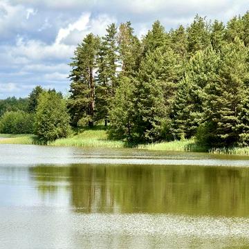 Будинок, хата в селі, Дача будиночок не дорого біля ставка