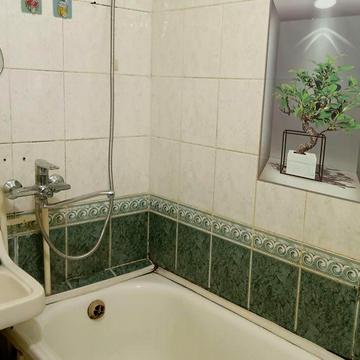 Березняки (Тельбін ) 2 кімнатна  роздільна квартира