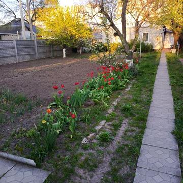 Продається будинок в центрі міста