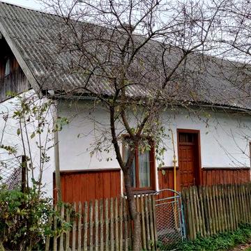 Будинок з присадибною ділянкою