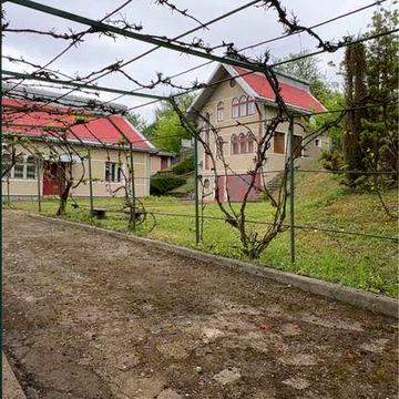 Будинок (господарство з виноградником) дуже гарне місце!!!
