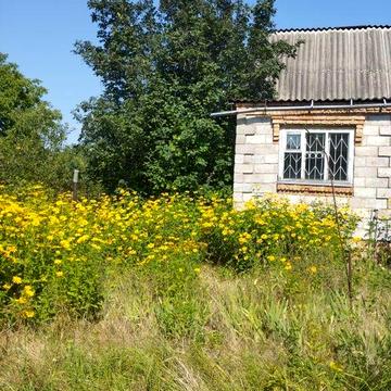 Продам дом - дачу в Новоселовке Самарский район