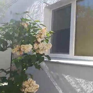 Аренда.Оренда.Сдам  дом Одесса. Черноморка, пр.Свободи