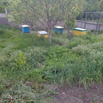 Продам будинок в селі Мілова