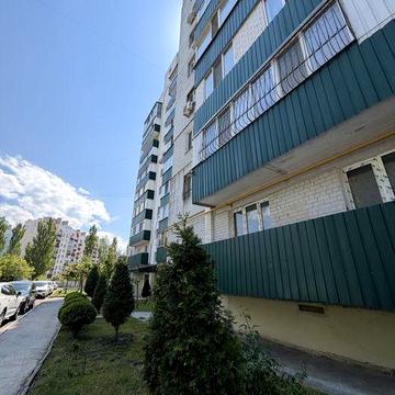 Трьошка в новому будинку