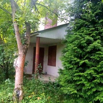 Продам дачний будинок в Демяновому Лазі, який межує з лісом