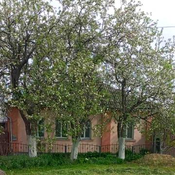 Продається будинок м. Глухів