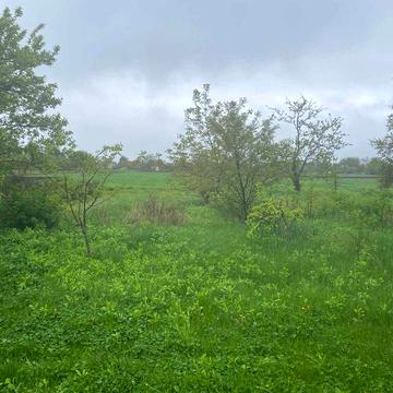 Продається будинок з земельною ділянкою в Київській області.