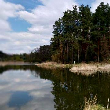 Ділянка з видом на ліс та водойму