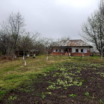 Продається будинок + 50 соток, газ, криниця, село Кальнівці (біля Брусниці)