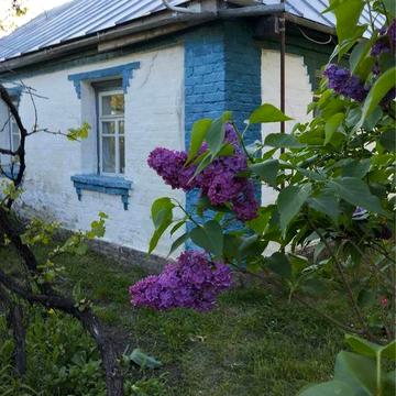 Продам будинок с Високе Білоцерківського рн