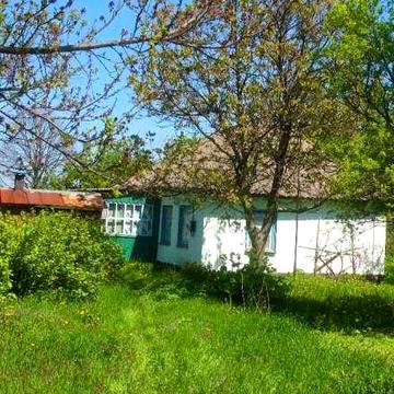 Продаж будинку с. Скрипчин з ділянкою 40 соток