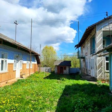 Будинок неподалік від річки з невеличким лісом поруч