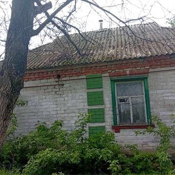 Продам будинок в селі Руднеківка , біля Нових Санжар
