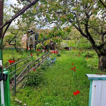 Продам дачу правый берег  ул.Кияшко