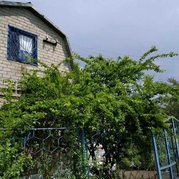 Продам Дачу на Долгинцево "Батуринская"