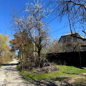 Будинок у лісі Пісчанка Орлівщина