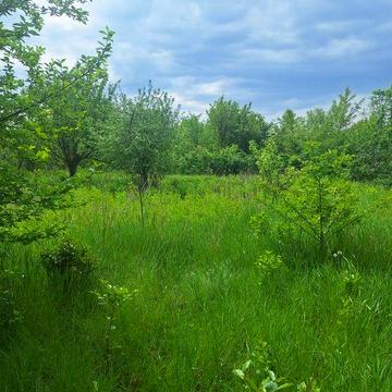 Продаж дачі в садовому товаристві