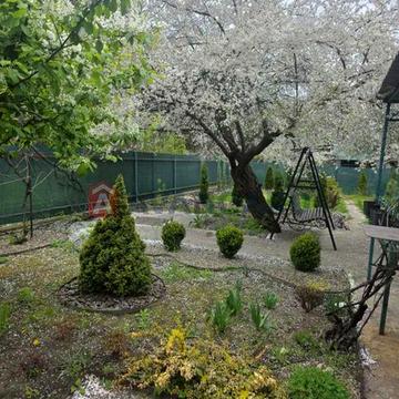 Заміський будиночок біля самого лісу