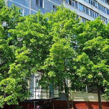 Сдам 1-комн.кв., Бабурка 16 мкр-н, 2/10 эт.