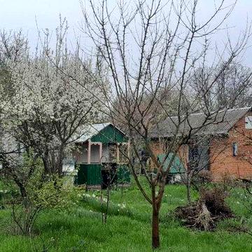 Продам дачу батьків